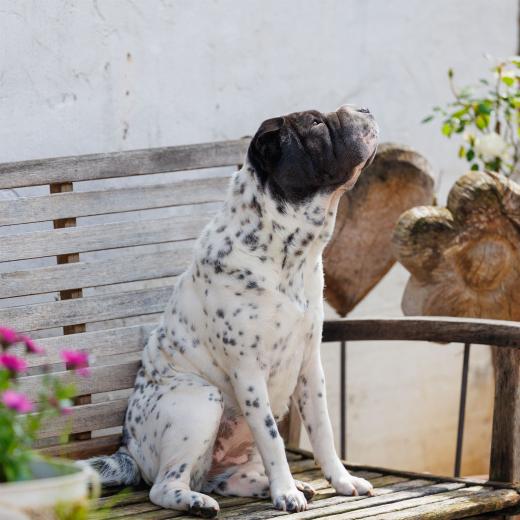 2024-05-19-14-03-18-EOS R6m2-4698