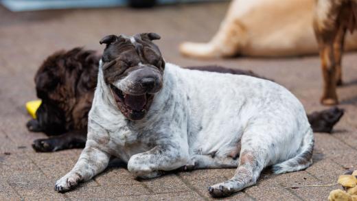 2024-05-19-14-05-15-EOS R6m2-4732