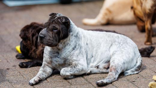 2024-05-19-14-05-16-EOS R6m2-4736