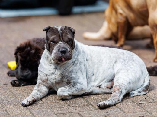 2024-05-19-14-05-18-EOS R6m2-4740