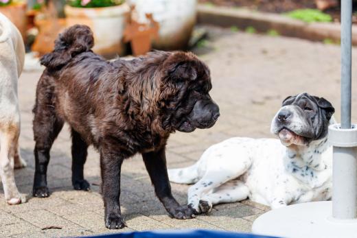 2024-05-19-14-06-15-EOS R6m2-4757