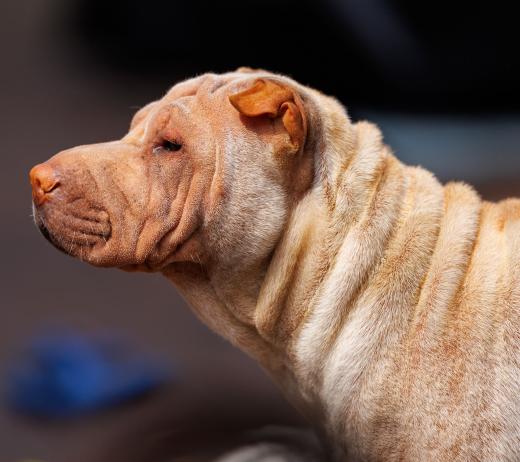 2024-05-19-14-07-01-EOS R6m2-4772