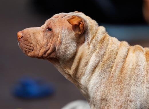 2024-05-19-14-07-04-EOS R6m2-4776