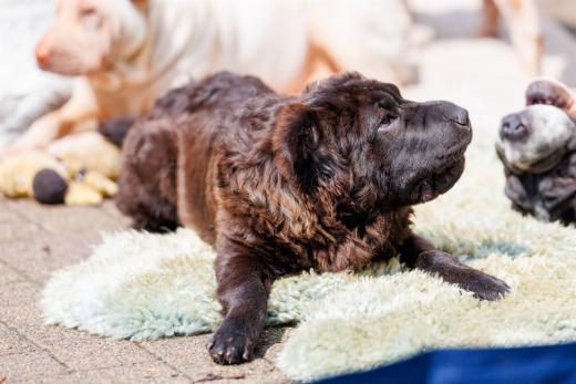 2024-05-19-14-13-42-EOS R6m2-4793