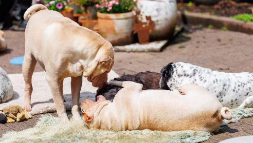 2024-05-19-14-14-51-EOS R6m2-4802