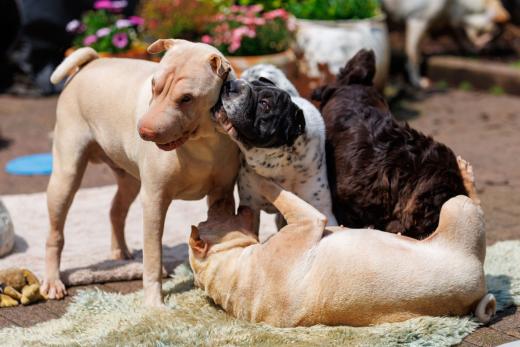 2024-05-19-14-15-00-EOS R6m2-4815