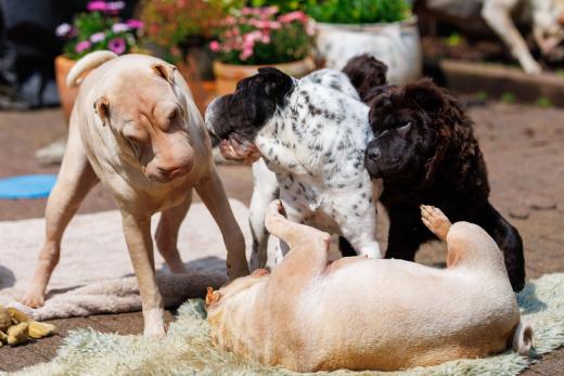 2024-05-19-14-15-01-EOS R6m2-4824