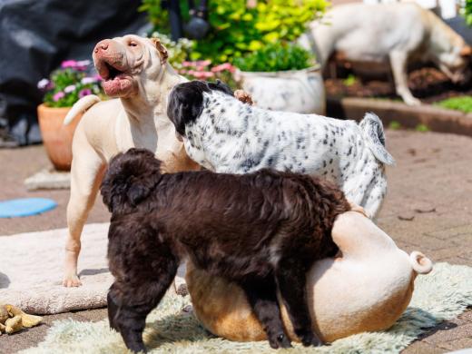 2024-05-19-14-15-08-EOS R6m2-4832