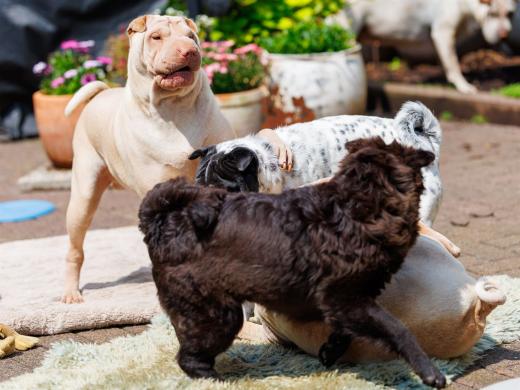 2024-05-19-14-15-09-EOS R6m2-4833