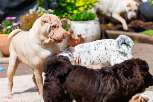 2024-05-19-14-15-09-EOS R6m2-4835