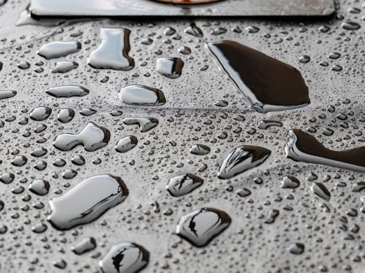 2024-05-19-18-40-31-EOS R6m2-1254-Verbessert-RR