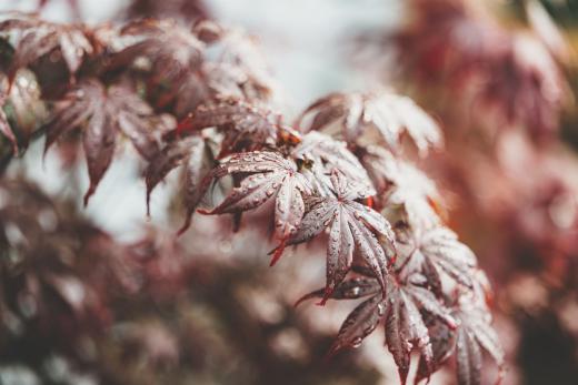 2024-05-19-18-41-40-EOS R6m2-1255-Verbessert-RR