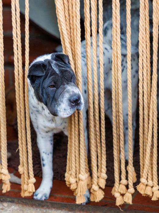 2024-05-19-18-43-20-EOS R6m2-1258