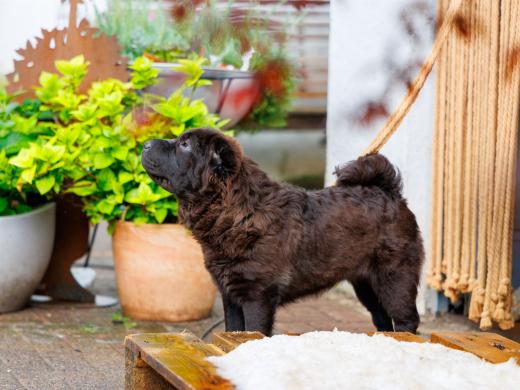 2024-05-19-18-46-21-EOS R6m2-1267