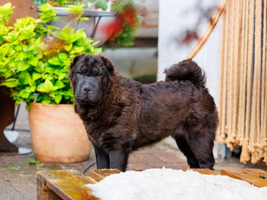 2024-05-19-18-46-25-EOS R6m2-1273-Verbessert-RR