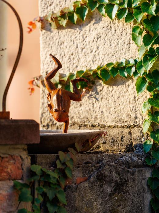 2024-08-07-19-25-47-EOS R6m2-5162