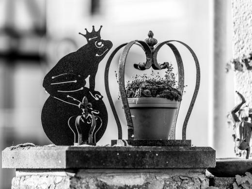 2024-08-07-19-26-33-EOS R6m2-5165-2