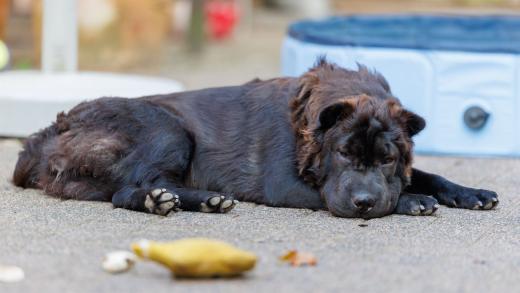 2024-08-07-19-30-41-EOS R6m2-5176