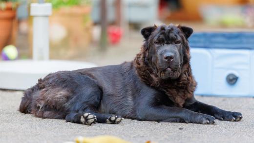 2024-08-07-19-30-47-EOS R6m2-5178