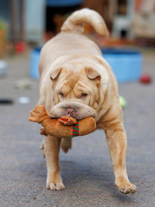 2024-08-07-19-44-18-EOS R6m2-5199