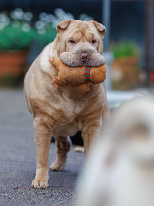 2024-08-07-19-45-44-EOS R6m2-5206