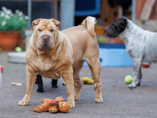 2024-08-07-19-46-15-EOS R6m2-5211