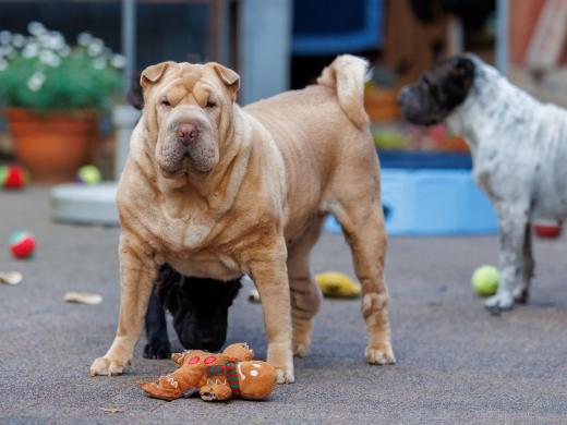 2024-08-07-19-46-16-EOS R6m2-5213