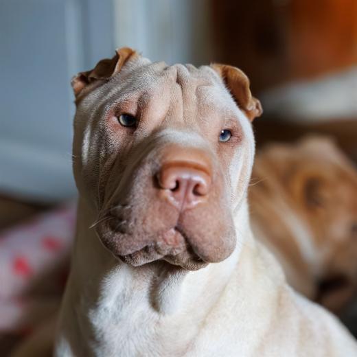 2024-05-18-12-35-31-EOS R6m2-1250-Verbessert-RR