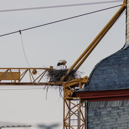 2024-06-01-19-38-03-EOS R7-6636