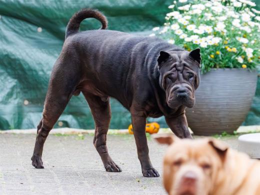 2024-06-01-19-44-00-EOS R7-6653-Verbessert-RR