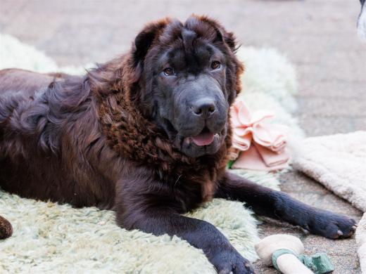 2024-06-01-19-46-14-EOS R7-6657-Verbessert-RR