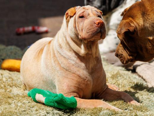 2024-06-23-14-07-55-EOS R7-6700