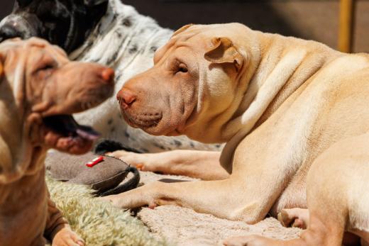 2024-06-23-14-10-04-EOS R7-6706