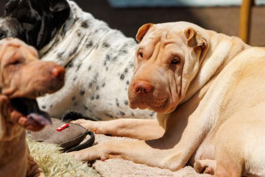 2024-06-23-14-10-04-EOS R7-6707