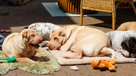 2024-06-23-14-10-12-EOS R7-6715