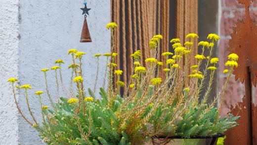 2024-06-23-14-11-46-EOS R7-6740