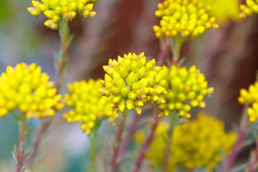 2024-06-23-14-13-02-EOS R7-6747