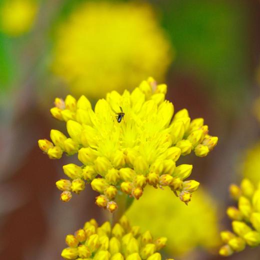 2024-06-23-14-13-07-EOS R7-6749