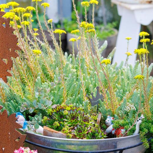 2024-06-23-14-13-56-EOS R7-6757