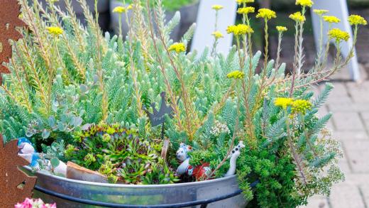 2024-06-23-14-14-12-EOS R7-6762