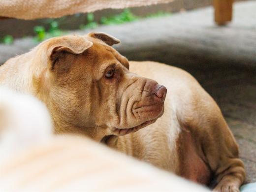 2024-06-23-17-04-17-EOS R7-6773