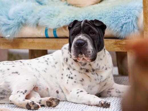 2024-06-23-17-05-34-EOS R7-6805