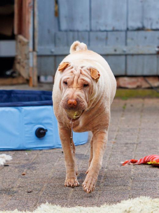 2024-06-23-17-05-45-EOS R7-6806