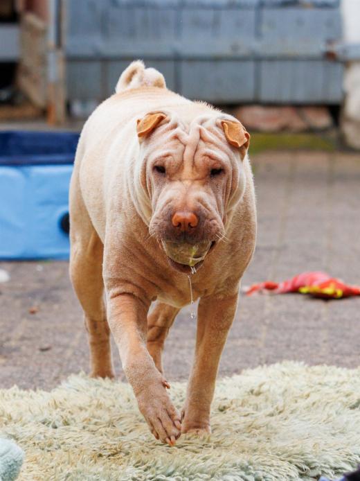 2024-06-23-17-05-46-EOS R7-6808