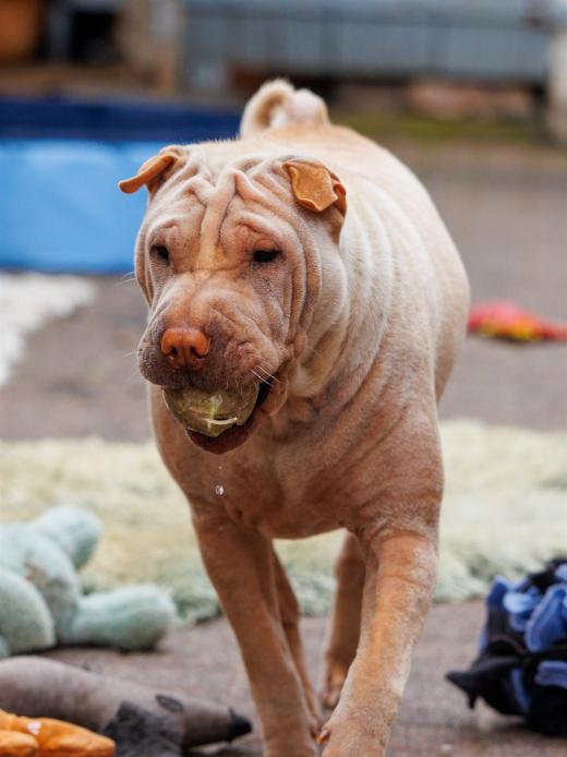 2024-06-23-17-05-46-EOS R7-6810