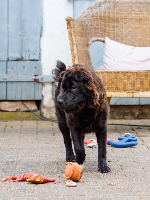 2024-06-23-17-05-58-EOS R7-6811