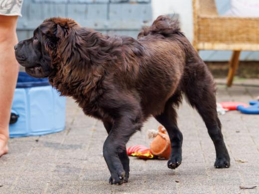 2024-06-23-17-05-59-EOS R7-6813-Verbessert-RR