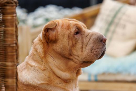 2024-06-23-17-06-37-EOS R7-6815