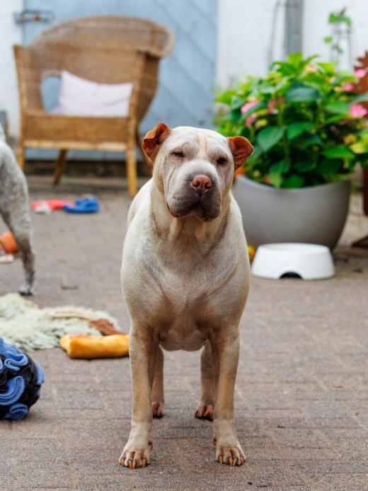 2024-06-23-17-07-16-EOS R7-6833