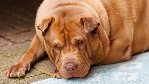 2024-06-23-17-14-14-EOS R7-6846